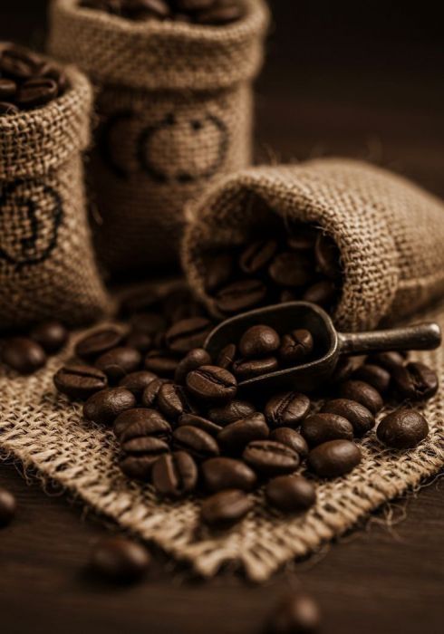 Найкращі сорти кави для еспресо: як обрати зерно для насиченого смаку